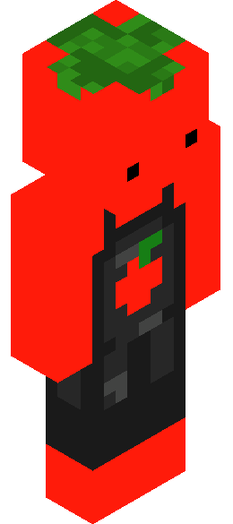 DDmax500's full body