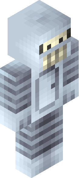 LiteCoder's full body