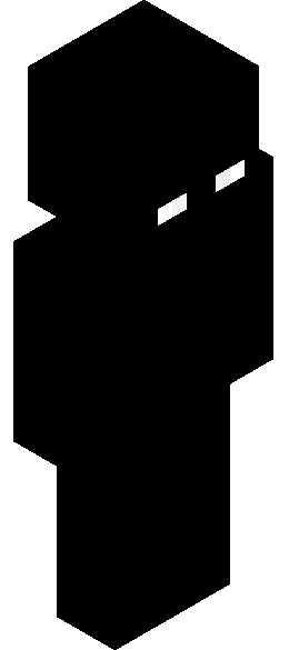 PixelBotMC's full body