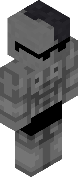 Enviiixity's full body