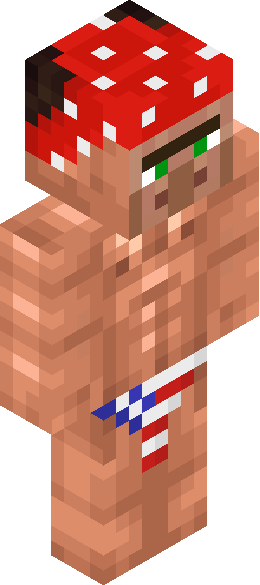 Villager_PVP_'s full body