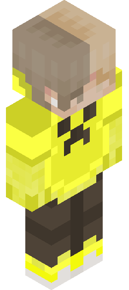 IcaaMinecraft's full body