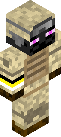 0_Mr_Enderman_0's full body