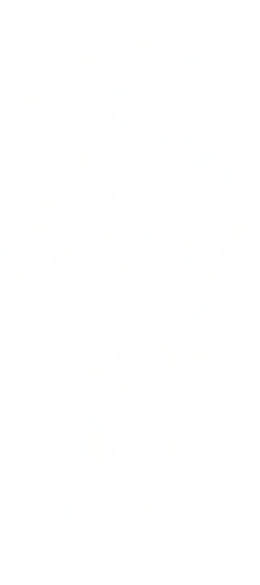 Sharkliz's full body