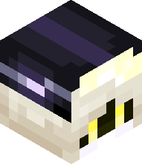 snowmiserdecool's head