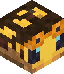 GalacticGamer999's head