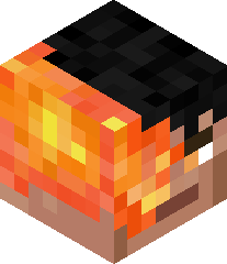 Hipstermoose27's head