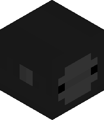 ShadowxBlitz327's head