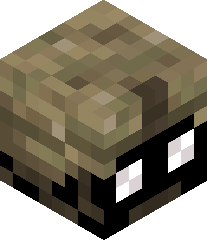 ShadowKnight0009's head