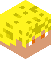 Hilemprogamer's head