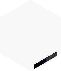 CoolLeader1271's head