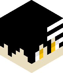 XxToxicZombie1xX's head