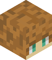 TwitchFlexy_TTV's head