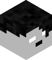 Transporter_RS's head