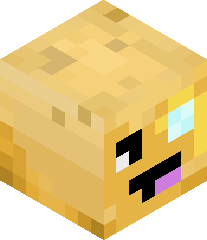 ManWithNoSkill's head