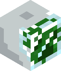 Creeper11King_'s head