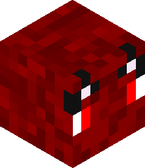 SkyWatcherDerg's head