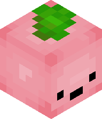 bellybuttonbob6's head