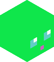 technoblade23456's head