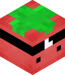 ImVeryBadAtMc's head