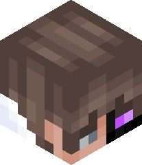 AlternateEnderYT's head