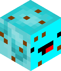 codemeister13's head