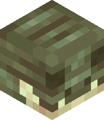 TheHenstigator's head