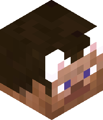 CatGirlLuminaUwU's head