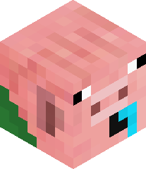 Lucasisc00l13's head