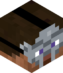 FinnMinecraft55's head