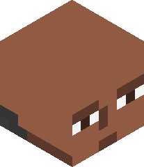 LiterallyBald's head