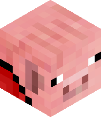 NonoNinjaPig's head