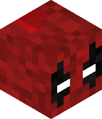 Oleksandr20345's head