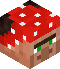 Villager_PVP_'s head