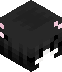 ConquerorDuck's head