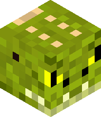 CrockyCrocky's head