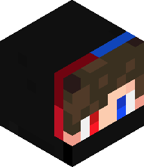 Electric_van1's head