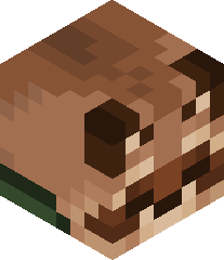 HeinPickledBeans's head