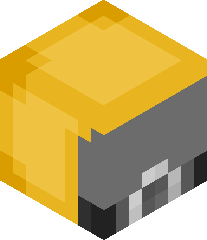 StragglyBear228's head