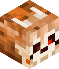 koala_bear_12's head