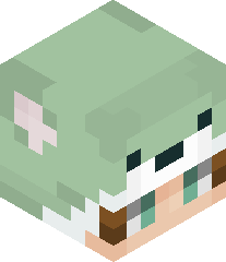 MCBurgerWarrior's head