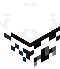 DavidIsStupid's head