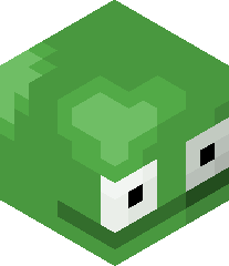 zayyanmehta12's head