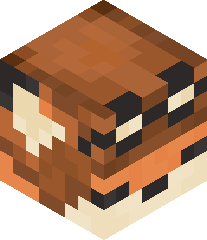 Patchy_Coyote's head