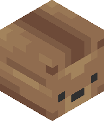 KngCharlesTheDog's head