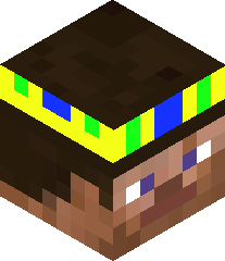 LittleNinja1315's head