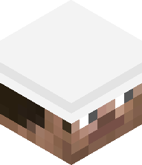 jessicasoho123's head