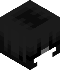 PirateCaptainKk's head