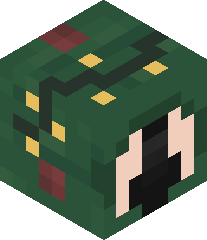 ILoveYouNotLoL's head