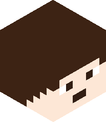 SergioTheCrafter's head